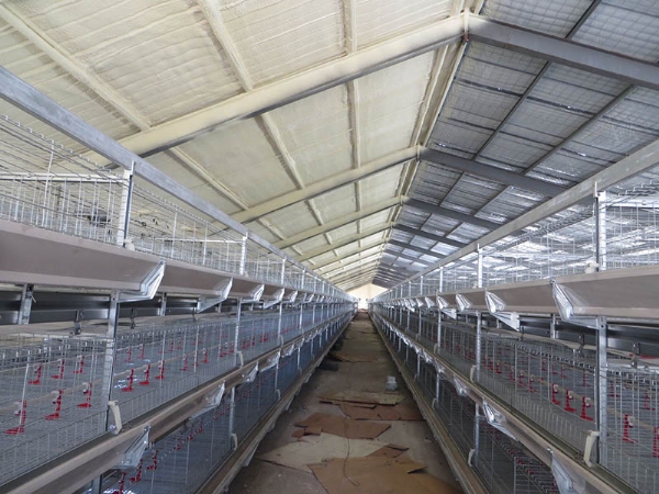 養(yǎng)殖棚舍保溫